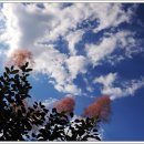 농부의 정원 이미지