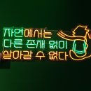 한국자연사박물관 이미지