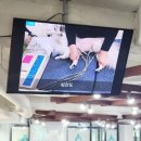 보정동물병원 이미지