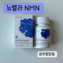 박경희미국직수입가방 | 뉴벨라 NMN 레스베라트롤 섭취 솔직 후기