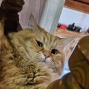 애월다락방 이미지