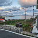 울도민박 이미지