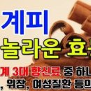계피 효능 부작용 항산화에 좋은 계피차 효능 이미지