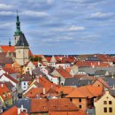 밀밭에서 이미지