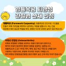 솔비건설
