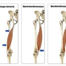 타이트짐 이미지