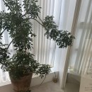 벨라쥬여성의원 | 20260311 괜찮아질 일기