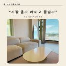 올라아미고 펜션 | 기장 가성비 풀빌라 올라 아미고 펜션 내돈내산 후기
