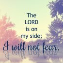 Everlastin 이미지