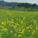 5.17 논산 탑정호 이미지