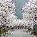 산꽃로 이미지
