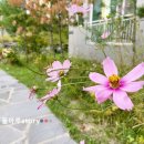 부영킹공인중개사사무소 이미지