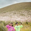 밝은목장 | 제주 가족 스냅 추천, 성이시돌목장과 노을 바다를 담은 2시간 제주 가족사진 촬영 후기