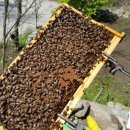 산골농부네 이미지