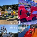 만차이 | 제주 가볼만한 곳 아이랑 뽀로로타요 테마파크 솔직 후기