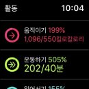 독도왕새우튀김 네이버블로그