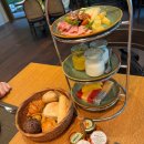 호텔라까사 | 나트랑 알마리조트 조식당 알마가든과 라 까사 비교 및 무료 조건 안내