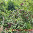 부자농장 이미지