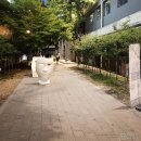 2019 수원대학교 커뮤니케이션디자인학과 졸업전시회 - 충무로 인쇄, 출력, 프린트라임