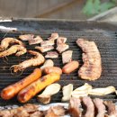 하늘과 소나무 이미지