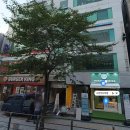 고양이다락방 | 신촌 고양이 다락방 방문기