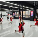 경희대 품태권도장 이미지