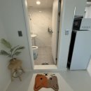 비비오네 이미지