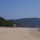 천보산자연휴양림캠핑장 이미지