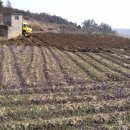 태광농장 이미지