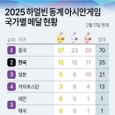 2025 하얼빈 동계 아시안게임 국가별 메달 현황 이미지