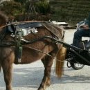 미니마차 이미지