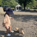 지리산하이웨이캠핑장 이미지