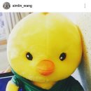 위로 이미지