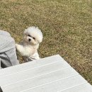 퐃 이미지