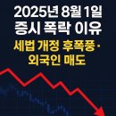 📉 [속보] 2025년 8월 1일 증시 폭락 이유｜세법 개정 후폭풍·외국인 매도 총정리