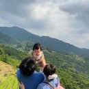 산들초록장터 | 봄의 끝자락에서 만난 푸르른 하동여행🌿(3개월 아기랑 여행하기)