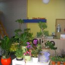 구로-구로-구로-3088 이미지