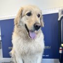 올리스24 명지점 이미지