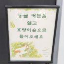 평내도서관 지상4층 | 강남역 아이랑 가볼만한 곳 국기원 옆 국립어린이청소년도서관 호랑이의 노래