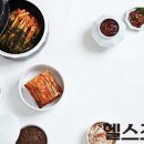 ▶--------김치, 된장·고추장·간장, 젓갈…대한민국 대표 발효식품을 건강검진 이미지