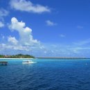 더비치하우스 이미지