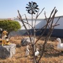 파라솔요양병원 이미지