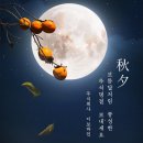 주식회사 디보바인 이미지