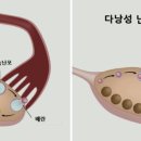 노원구 보건소 이미지