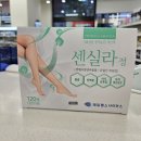 365봉담약국 이미지