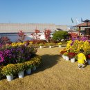 서구청 옥상생태공원 이미지