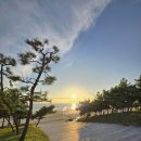 보령시 보건소 | [충남/보령] 2025 보령 머드 해변맨발걷기축제, 직접 체험, 미션완료 선물, 따끈한 후기!!!