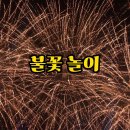 호미곶스쿠버 | 포항 여름 여행, "이 코스 모르면 손해!" 불빛축제와 함께 즐기는 낭만 가득 추천 루트!