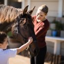 홍성군승마장 이미지