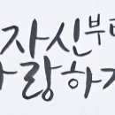 볼텍 이미지